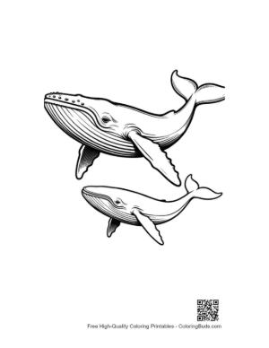 Thumbnail: Mother Blue Whale and Calf Swimming Gracefully