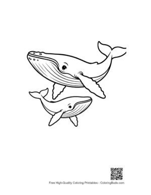 Thumbnail: Mother Blue Whale and Calf Swimming