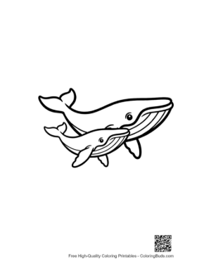 Thumbnail: Mother Blue Whale and Calf Swimming Together