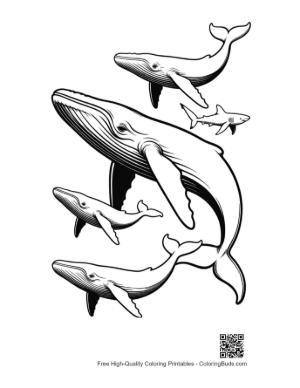 Thumbnail: Playful Blue Whales and Shark Line Art