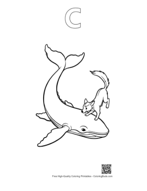 Thumbnail: Playful Fox Riding Blue Whale Outline Printable Outline Alphabet C