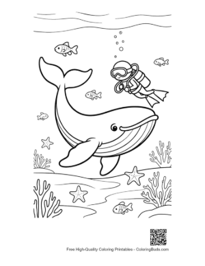 Thumbnail: Whale and Scuba Diver Exploring Coral Printable