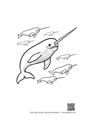 Thumbnail: Playful Narwhal Family Swimming Together