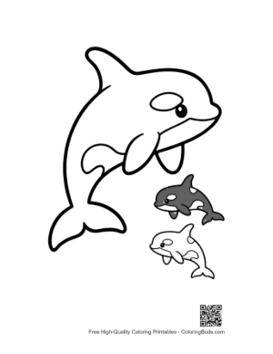 Thumbnail: Cute Orca Family Leaping Playfully