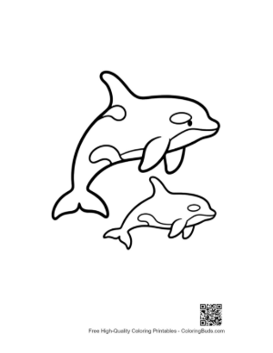 Thumbnail: Mother Orca and Calf Leaping Joyfully