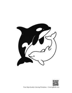 Thumbnail: Orca and Dolphin Yin-Yang Harmony