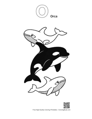 Thumbnail: Stacked Orcas and Whales Outline Art Printable Outline Alphabet O Orca