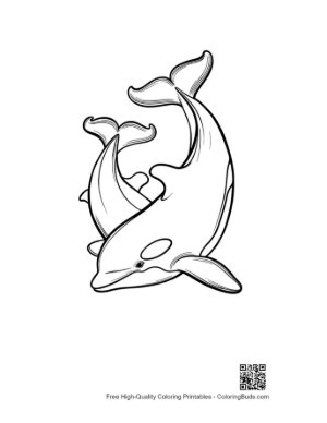 Thumbnail: Two Orcas Entwined in Graceful Dance