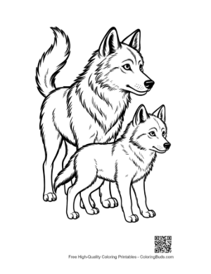 Thumbnail: Gray Wolf Pair Outline