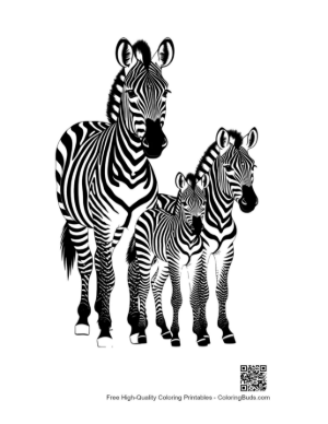 Thumbnail: Zebra Family in Black and White Stripes