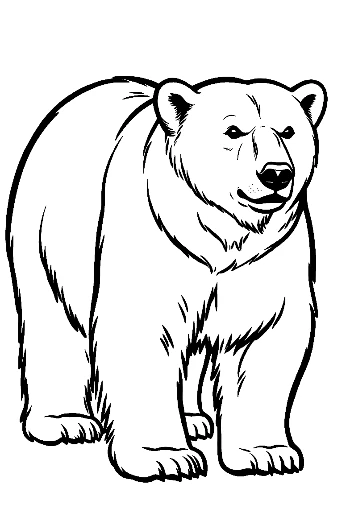 Majestic Polar Bear Line Art