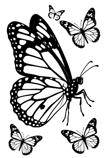 Monarch Butterfly Silhouette Cluster