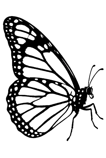 Monarch Butterfly Silhouette