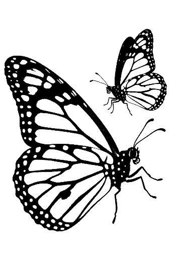 Pair of Monarch Butterflies Silhouette