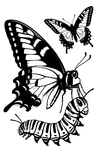 Swallowtail Butterfly and Caterpillar Silhouette
