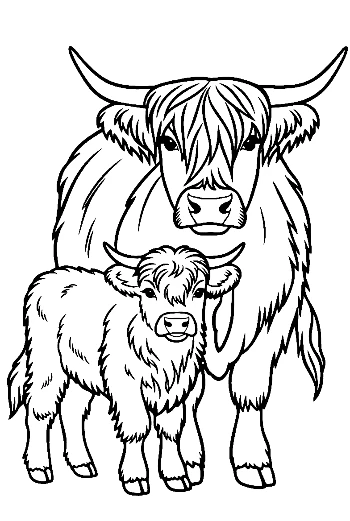 Highland Cow and Calf Line Art