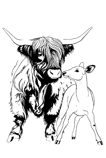 Highland Cow and Fawn in Gentle Embrace