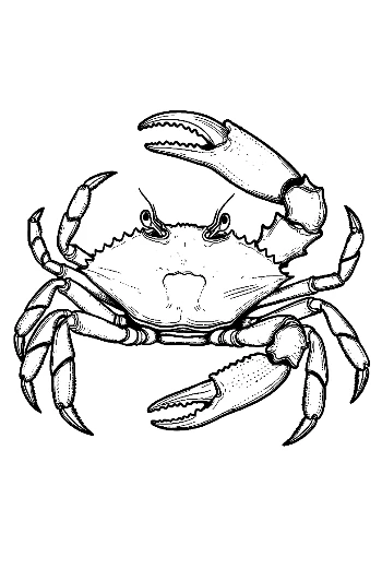 Intimidating Red Crab Line Art