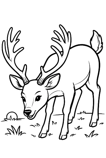 Handsome Buck with Antlers Looking Back in the Woods Printable