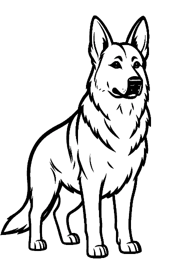 Alert German Shepherd Line Art