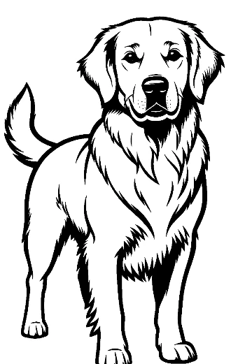 Cheerful Golden Retriever Outline Portrait