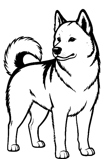 Standing Siberian Husky Line Art
