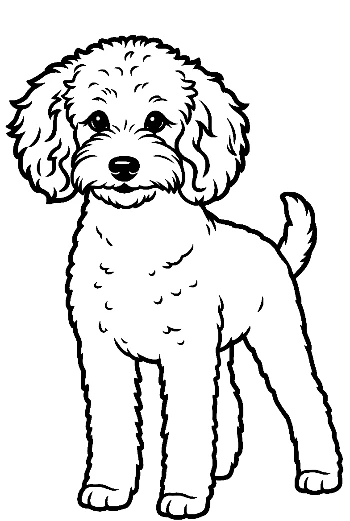 Cute Poodle Puppy Line Art
