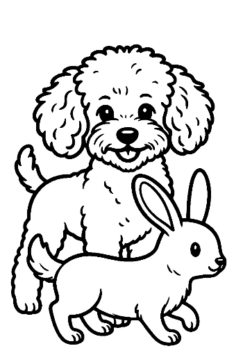 Playful Poodle and Bunny Coloring Page