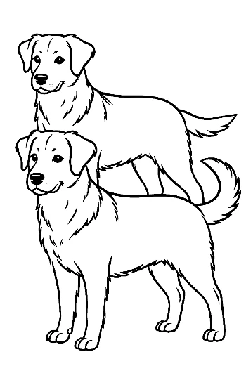 Stacked Labrador Puppies Standing Tall
