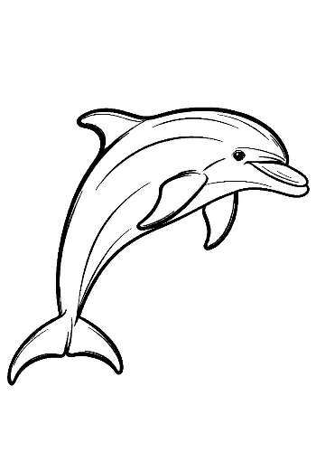 Joyful Dolphin Leaping High