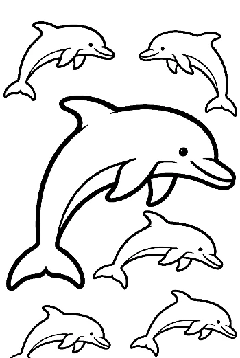 Jumping Dolphin and Playful Pod