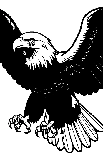 Fierce Bald Eagle Diving with Talons Extended