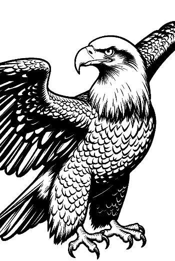 Fierce Bald Eagle in Majestic Flight