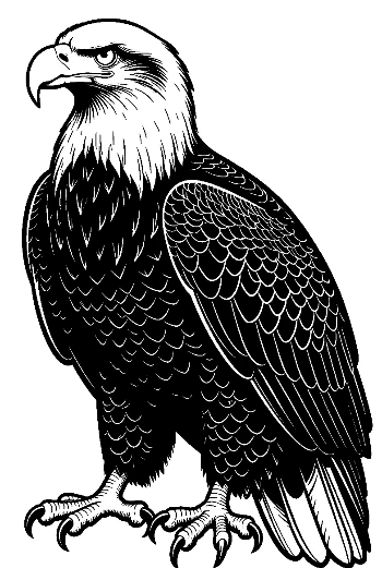Fierce Bald Eagle Standing Tall