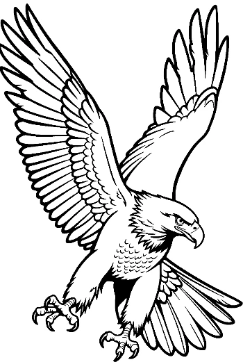Fierce Golden Eagle Diving with Talons Extended