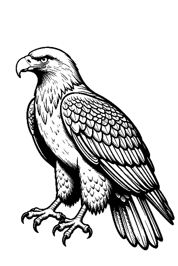 Fierce Golden Eagle in Profile