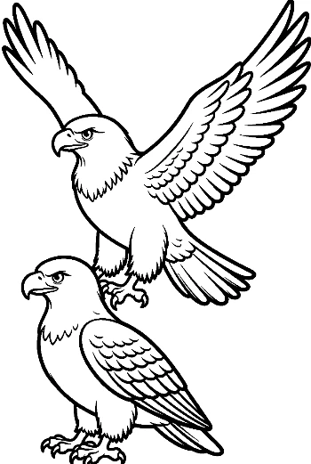 Two Golden Eagles Soaring Fiercely