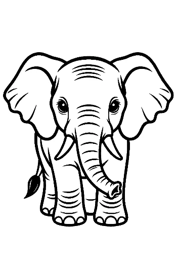 Cute Baby Elephant Outline