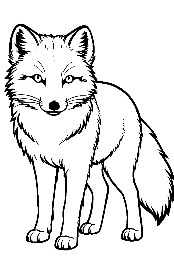 Adorable Arctic Fox Standing Alert