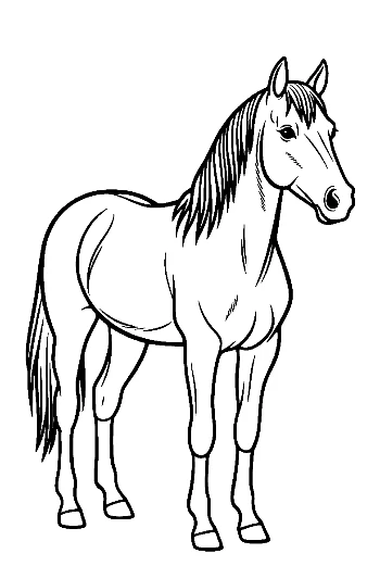 Cute Pony Standing Proudly