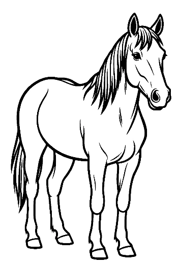 Wild Horse Standing Proudly
