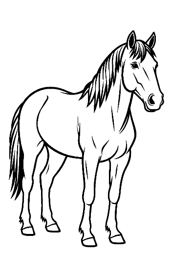 Wild Horse Standing Proudly
