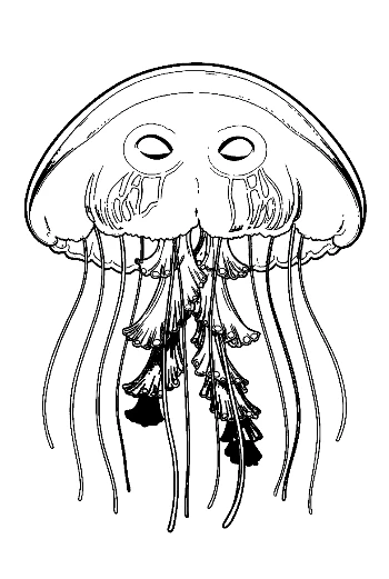 Moon Jellyfish Line Art
