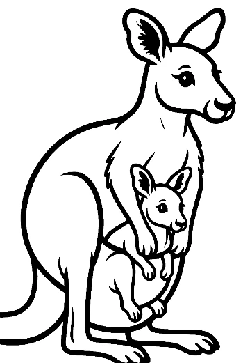 Mother Kangaroo and Joey in Pouch