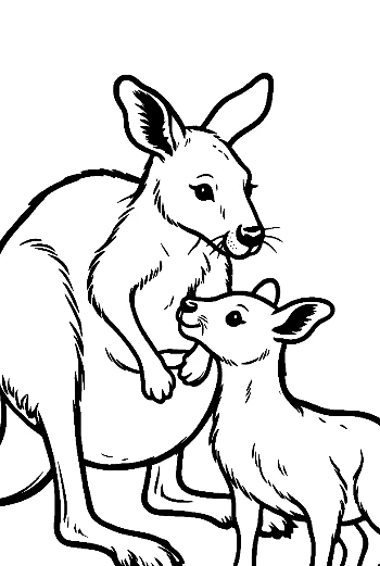 Mother Kangaroo with Joey in Pouch