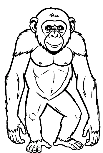 Cheerful Chimpanzee Standing Proudly