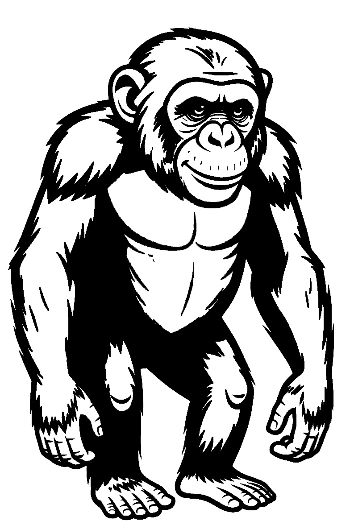 Muscular Chimpanzee Standing Boldly