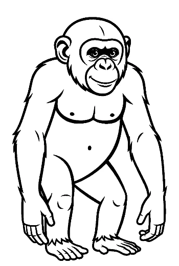 Playful Chimpanzee Standing Upright