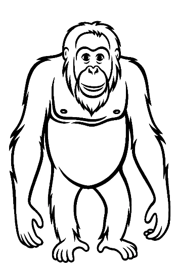 Cheerful Orangutan Standing Tall
