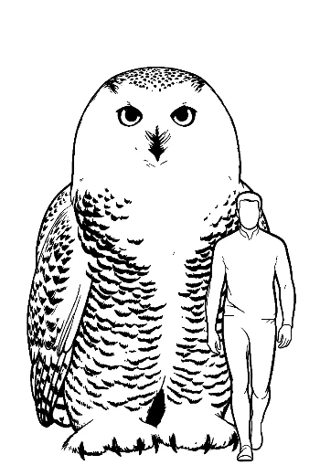 Giant Snowy Owl Towering Over Man